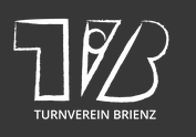 Logo_TV_Brienz